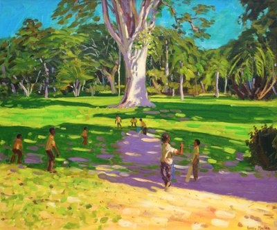 Cricket Match, Botanical Gardens, Dominica, Grenadines, 2011 by Andrew Macara